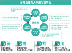 以自動化為核心的自服務大數據治理——普元王軒在第二屆數據標準化及治理大會的分享